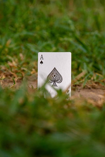 Casinos online España con soporte en español