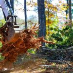 Tree Care Enterprises-Lake Geneva Quality Tree Removal & Trimming