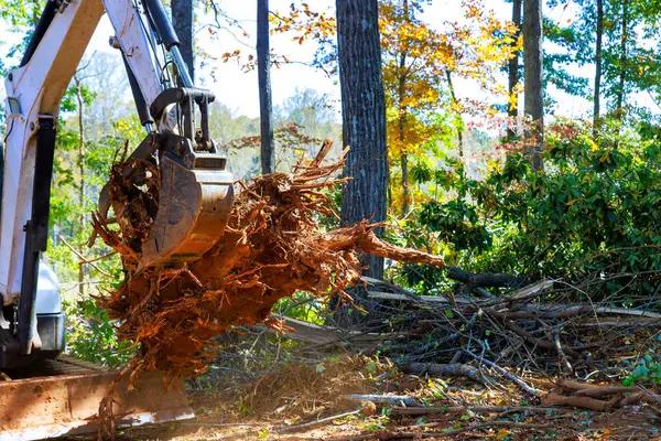 Tree Care Enterprises-Lake Geneva Quality Tree Removal & Trimming