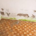 Emergency Water Damage Louisville Cleanup & Repair Services