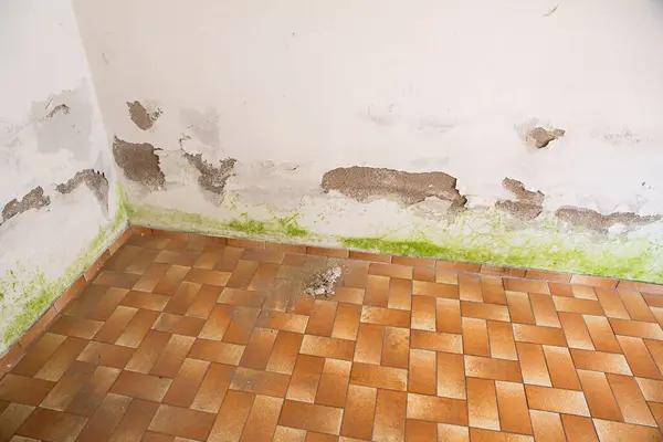 Emergency Water Damage Louisville Cleanup & Repair Services
