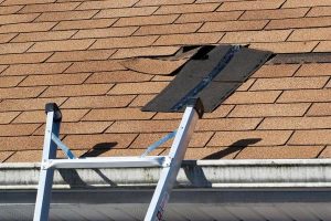 Essential Roof Maintenance Tips Every Property Owner Should Know