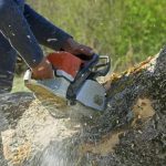 Expert Tree Service Springfield, IL with Fast Emergency Response