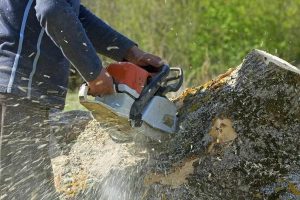 Expert Tree Service Springfield, IL with Fast Emergency Response