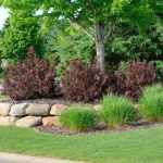 Best landscaping Orangevale CA Company for Complete Landscape Services