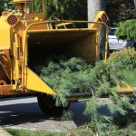Trusted The Tree Guys Services in Jackson MI with Experienced Tree Care Specialists