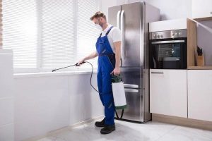 Pest Control Lansing for Effective Pest Management