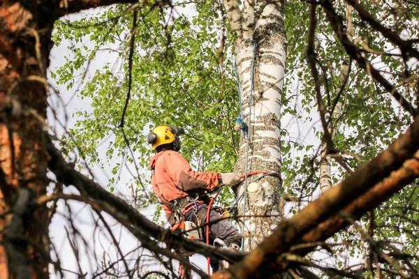 Wiese Tree Service LLC Mobile Tree Specialists