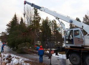 Safe and Efficient Tree Removal Near Me for Local Properties